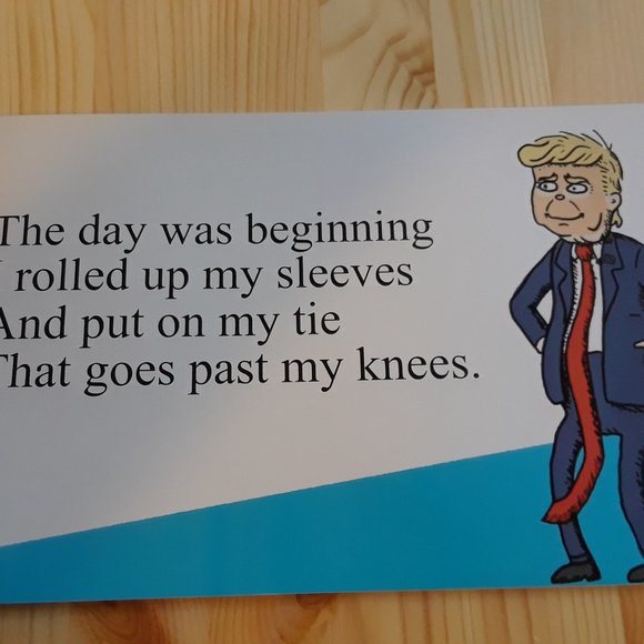 Donald Trump children's book S-holes in S-Ville as seen on The Jimmy Fallon Show - Picture 2 of 8